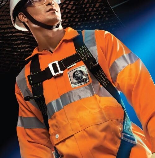 Full Body Harness